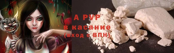 сатива Бронницы