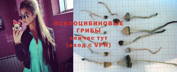 Альфа ПВП Беломорск
