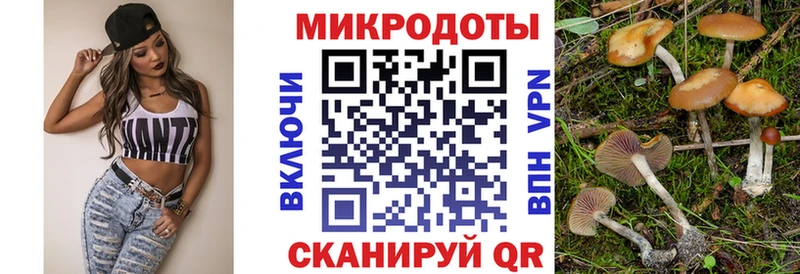 Псилоцибиновые грибы Magic Shrooms  Иркутск 